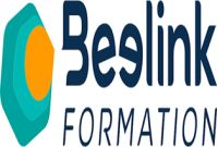 beelink formation